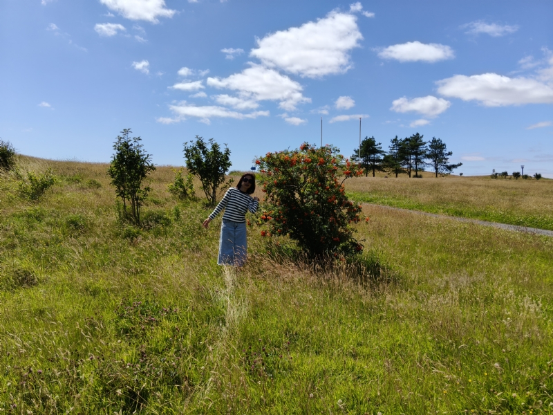 秋蝉的第一张照片--永州相亲服务中心