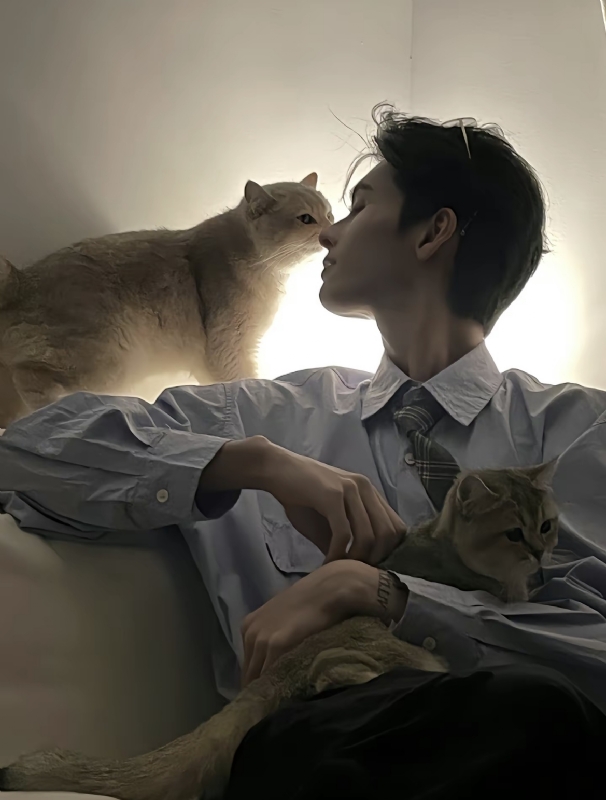 怪猫的第一张照片--永州相亲服务中心